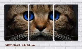 Quadro canvas 45x96 olhos azuis de gato pardo
