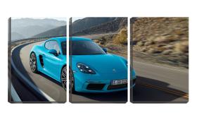 Quadro canvas 45x96 porsche azul piscina