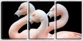 Quadro canvas 45x96 três flamingos fundo preto