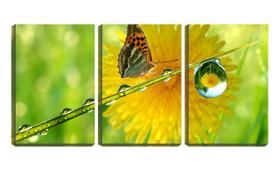 Quadro canvas 55x110 borboleta perto de pingo dagua