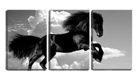 Quadro canvas 55x110 cavalo negro céu pb