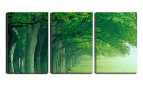 Quadro canvas 55x110 copas verdes no campo