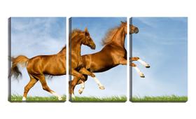 Quadro canvas 55x110 crinas de cavalos ao vento