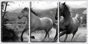 Quadro canvas 55x110 dois cavalos pb arte