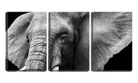 Quadro canvas 55x110 elefante adulto cabeça fundo preto