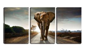 Quadro canvas 55x110 elefante na estrada de terra