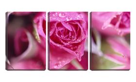 Quadro canvas 55x110 gotas que saem da rosa