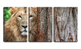 Quadro canvas 55x110 olhar de leão na árvore