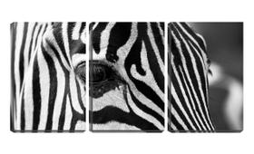 Quadro canvas 55x110 olhar de zebra textura pb