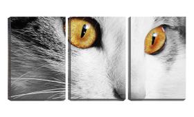 Quadro canvas 55x110 olhos verdes de gato pb - Crie Life