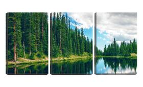 Quadro canvas 55x110 pinheiros na beira do rio