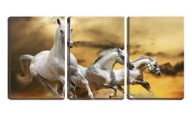 Quadro canvas 55x110 três cavalos brancos disparados - Crie Life