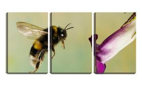 Quadro canvas 68x126 abelha perto de flor - Crie Life