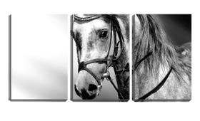 Quadro canvas 68x126 cavalo branco no cabresto - Crie Life