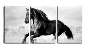 Quadro canvas 68x126 cavalo de crina trançada pb