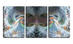 Quadro canvas 68x126 duas fênix abstrato mandala - Crie Life