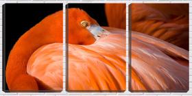 Quadro canvas 68x126 flamingo entre penas - Crie Life