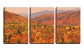 Quadro canvas 68x126 floresta alaranjada outono