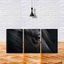 Quadro canvas 68x126 olho negro de cavalo