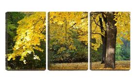 Quadro canvas 80x140 árvores e folhas de outono