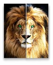 Quadro Canvas Decorativo Leão Rei de Juda Face Face 80x100cm - Estilo Artes