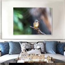 Quadro Canvas Decorativo para Sala Beija-flor 1,00x1,30