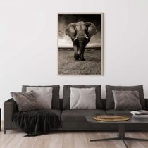 Quadro Canvas Decorativo para Sala Elefante Savana 1,20x90
