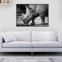 Quadro Canvas Decorativo para Sala Rinoceronte P&b 70x90