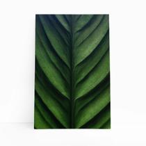 Quadro Canvas Folha Planta Natureza Verde Fotografia 60X40Cm