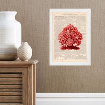 Quadro Casa De Praia - Coral Vermelho 33x24cm