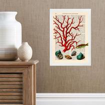 Quadro Casa De Praia - Coral Vintage 33X24Cm - Com Vidro