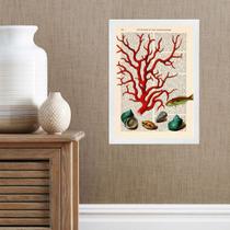 Quadro Casa De Praia - Coral Vintage 33x24cm - com vidro Quadro Casa De Praia - Coral Vintage 33x24cm - com vidro