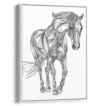 Quadro Cavalo Abstrato Moldado Por Linhas Fluídas