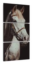 Quadro Cavalo Branco Decorativo Vertical Para Sala Corredor