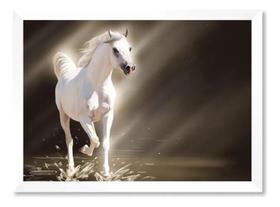 Quadro Cavalo Branco Radiante De Luz 50x70cm