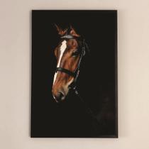 Quadro cavalo COM MOLDURA - 60x90 cm