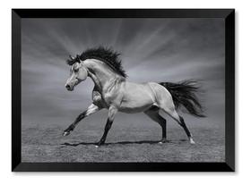 Quadro Cavalo Preto E Branco Art 50x70cm Quadro Cavalo Preto E Branco Art 50x70cm