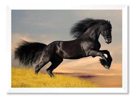 Quadro Cavalo Preto Jardim Verde 40x60cm Quadro Cavalo Preto Jardim Verde 40x60cm