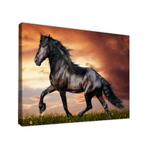 Quadro Cavalo Rei -- BR ARTES