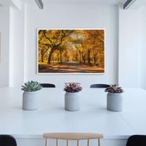 Quadro Central Park Outono
