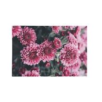 Quadro Chrysanthemum Morifolium Flor Rosa Canvas 60X40Cm