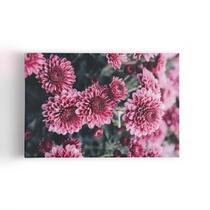 Quadro Chrysanthemum Morifolium Flor Rosa Canvas 60x40cm