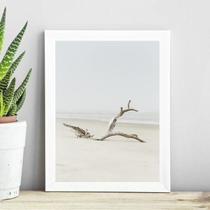 Quadro Coleção Praia Soft - Tronco 45X34Cm - Com Vidro