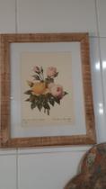 Quadro com Gravavura Floral Quadro com Gravavura Floral