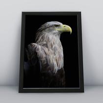 Quadro com moldura Aguia Aguia-07-M1