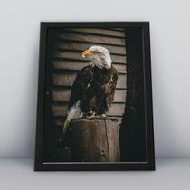 Quadro com moldura Aguia Aguia-12-M1