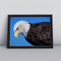 Quadro com moldura Aguia Aguia-28-M1 Quadro com moldura Aguia Aguia-28-M1