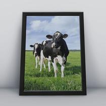 Quadro com moldura Animal Animal-14-M1