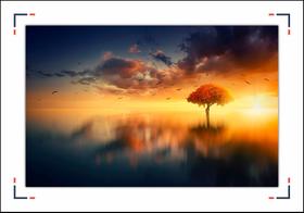 Quadro Com Moldura Árvore Pôr do Sol Quadro Com Moldura Árvore Pôr do Sol