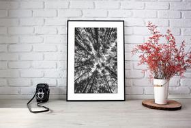 Quadro Com Moldura Árvores Galhos Branco e Preto